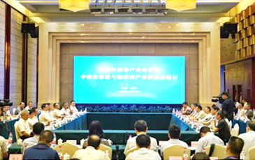 1xBET·Signup(中国集团)-官方网站